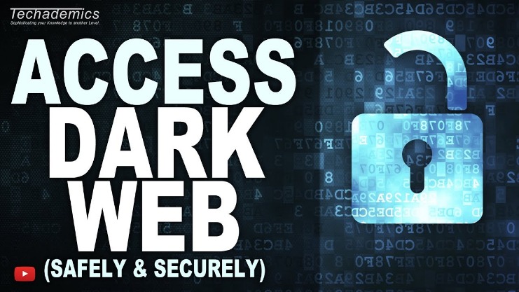 browse dark web