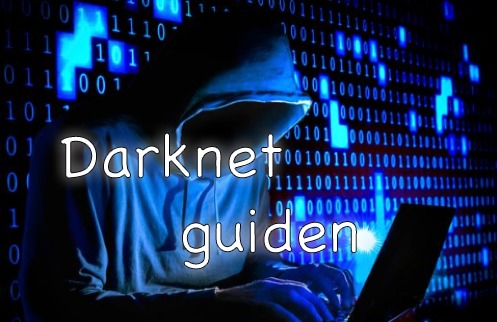 archetyp darknet market