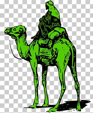 bitcoin market on darknet tor